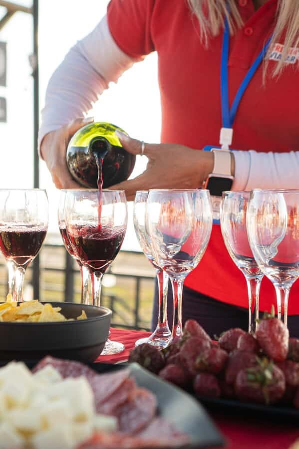 Santiago: Andes Mountains Sunset and Valle Nevado & Picnic - First Stop: Mountain Viewpoint