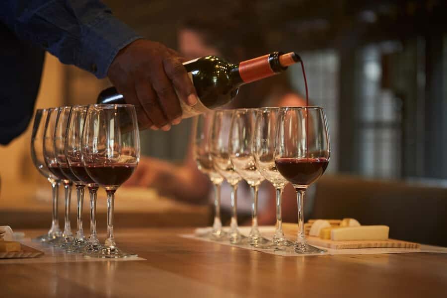 Santiago: Concha y Toro Vineyard Tour w/ Transfer & Tasting - The Experience in Detail