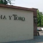 Santiago: Concha y Toro Winery 4Hour Tour & Sommelier Class - Key Points