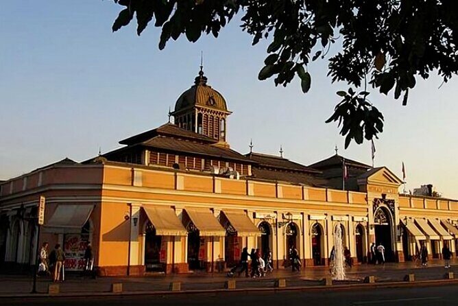 Santiago De Chile Highlights Walking Tour with a Guide - FAQ