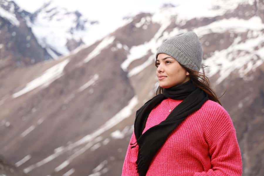 Santiago: Full day tour in Portillo and Laguna del Inca - The Full Experience: A Detailed Look at the Tour