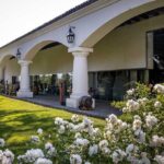 Santiago: Half day Visit to Undurraga vineyard, entrance and transport included - The Experience in Detail