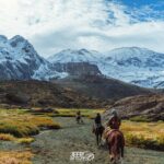 Santiago: Horse riding experience with Chilean BBQ all-included - In-Depth Analysis: Why This Tour Offers Great Value