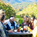 Santiago: Maipo Valley Wine Tasting Tour with 4 Vineyards - What We Love About This Tour
