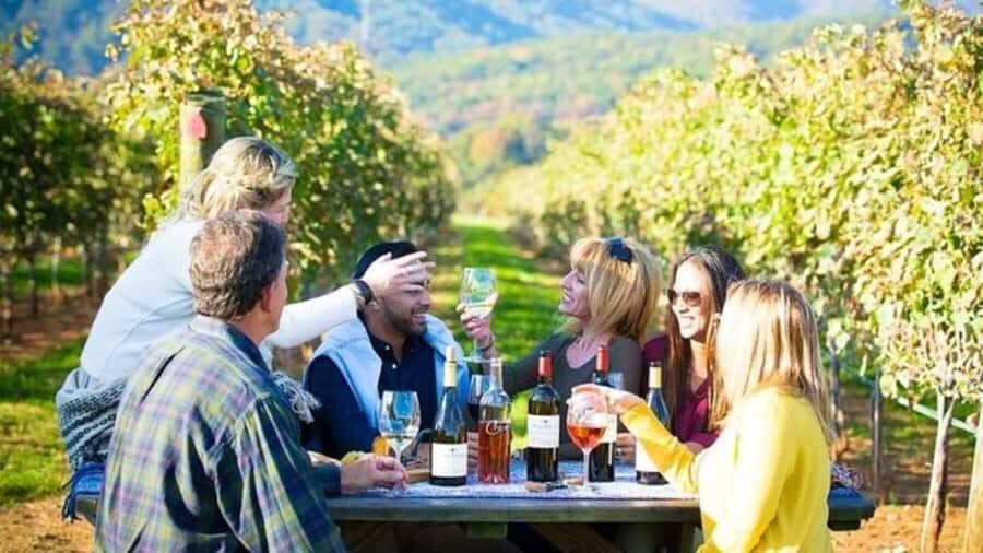 Santiago: Maipo Valley Wine Tasting Tour with 4 Vineyards - What We Love About This Tour