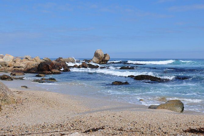 Santiago: Private full day tour Pomaire & Isla Negra, include entrace - Authenticity and Value