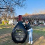 Santiago: Undurraga Winery Tour with Entry and Wine Tasting - A Deep Dive into the Undurraga Winery Tour
