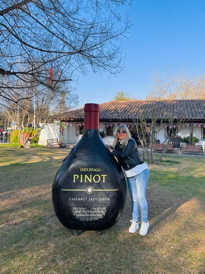 Santiago: Undurraga Winery Tour with Entry and Wine Tasting - A Deep Dive into the Undurraga Winery Tour