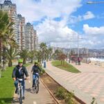 Santiago: Valparaiso and Vina del Mar Full-Day Tour - Who Should Consider This Tour?