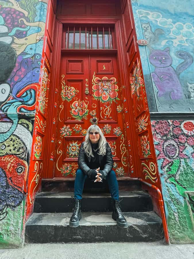 Santiago: Viña Del Mar, Valparaiso, Casablanca & Reñaca Tour - A Detailed Breakdown of the Tour Experience