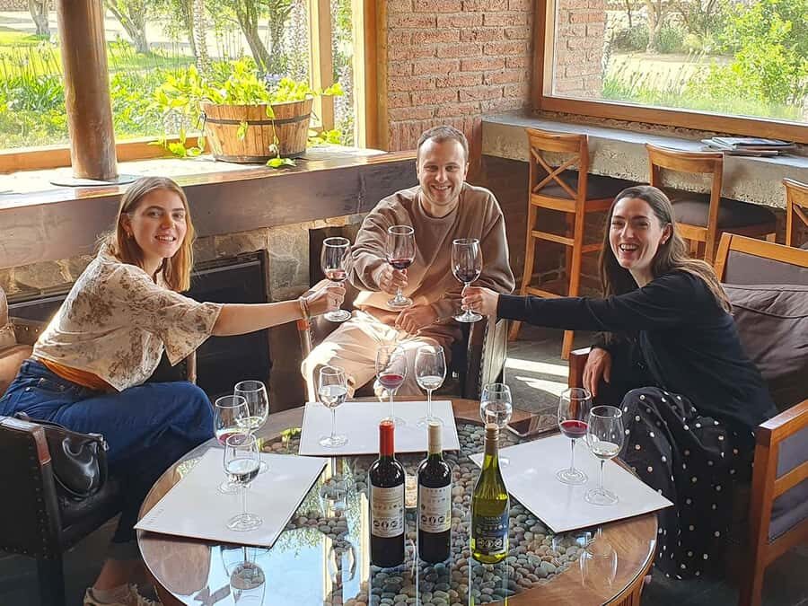 Santiago: World-class Wines, Visit to 4 Vineyards and Tanino - What Makes This Tour Stand Out?