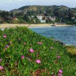 Santiago: Zapallar Beach Private Day Trip - Exploring Zapallar: A Coastal Gem