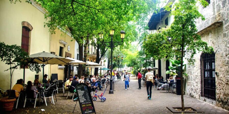 Santo Domingo: City Highlights Guided Tour with Lunch - Who Should Consider This Tour?