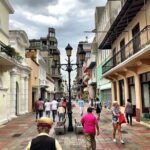 Santo Domingo Historic Tour with Lunch - Who Will Love This Tour?