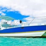 Santo Domingo: Isla Saona Day Trip with Lunch & Catamaran - Starting in Santo Domingo: The Pickups and Drive