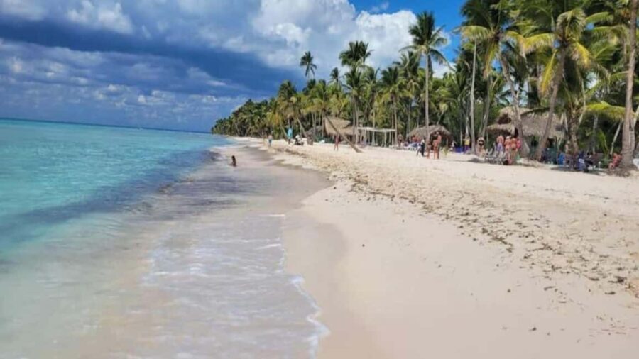 Santo Domingo: Isla Saona Day Trip with Lunch & Drinks - Why This Tour Offers Good Value