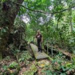 Santo Domingo: Off-Road Adventure with Cave and Views - First Stop: Peña Alta and Organic Coffee