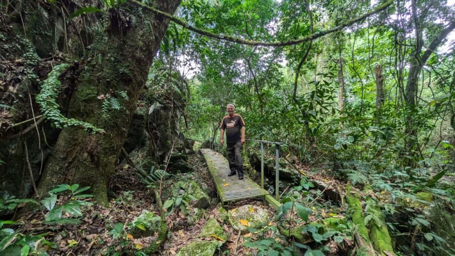 Santo Domingo: Off-Road Adventure with Cave and Views - First Stop: Peña Alta and Organic Coffee