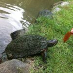 Santo Domingos Natural Treasures - A Deep Dive into the Tour: What to Expect