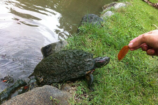 Santo Domingos Natural Treasures - A Deep Dive into the Tour: What to Expect