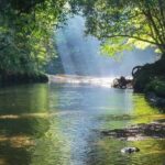 Santos: Guided Kayak Tour in the Heart of the State Park - Value & Practicality