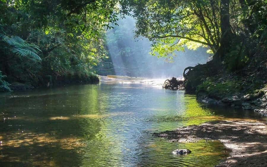 Santos: Guided Kayak Tour in the Heart of the State Park - Value & Practicality