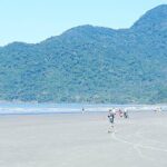 Santos Shore Excursion: Full Day City Tour and GRU Airport Transfer - A Deep Dive into the Santos Shore Excursion