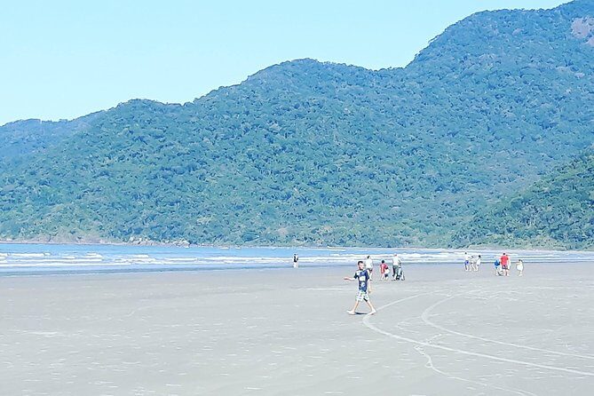 Santos Shore Excursion: Full Day City Tour and GRU Airport Transfer - A Deep Dive into the Santos Shore Excursion