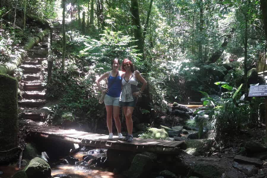 São Paulo: Cantareira Natural Park Guided Rainforest Hike - Practicalities and What’s Included