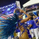 São Paulo Carnival Seating with Food, Drinks, & Transfer - Why This Tour Stands Out