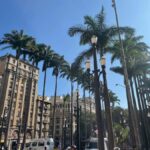 São Paulo: Highlights Tour with History, & curiosities - Why This Tour Offers Great Value