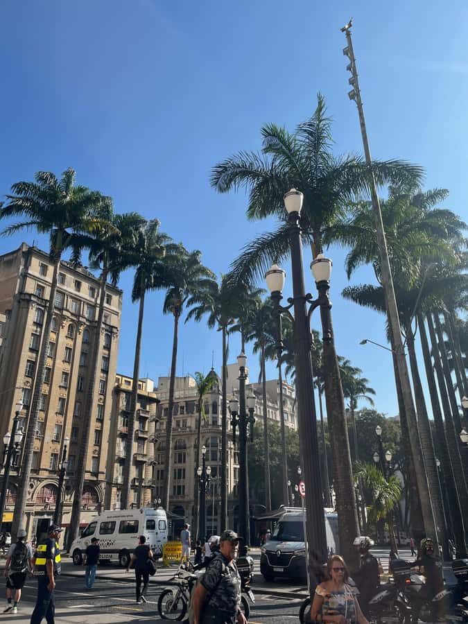 São Paulo: Highlights Tour with History, & curiosities - Why This Tour Offers Great Value