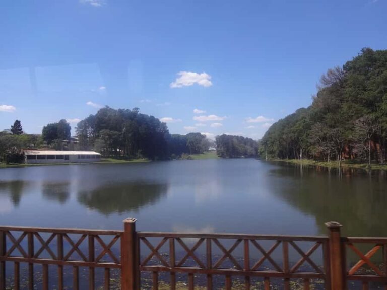 São Paulo: Holambra Colorful Flower Farm Guided Day Trip - Final Words: Who Will Love This Tour?