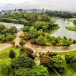 São Paulo Major Tourist Attractions Private Tour: 8-Hour (Santos City Pick-up) - A Few Considerations