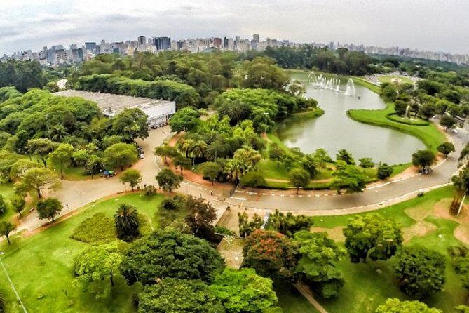 São Paulo Major Tourist Attractions Private Tour: 8-Hour (Santos City Pick-up) - A Few Considerations