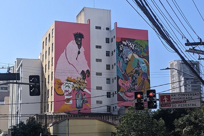 Sao Paulo, Pinheiros - Food & Graffiti Tour - In English - Who Will Love This Tour?