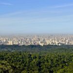 São Paulo Private Half Day Ecotour - Who Will Love This Tour?