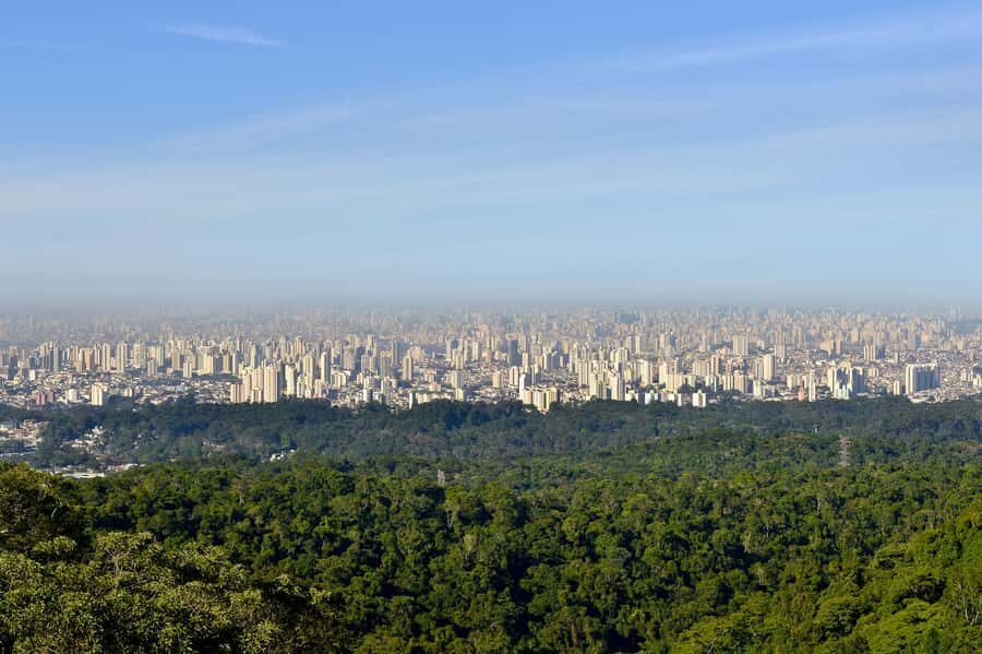 São Paulo Private Half Day Ecotour - Who Will Love This Tour?