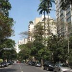 São Paulo's Best Attractions: 5-Hour Private Tour (Hotel Pickup) - Who Is This Tour Best Suited For?
