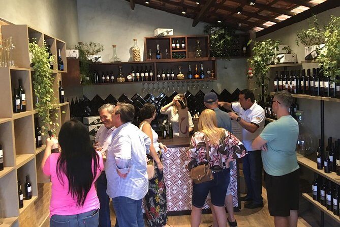 São Roque Wineries Route from São Paulo - Deep Dive: What Makes This Tour Worthwhile