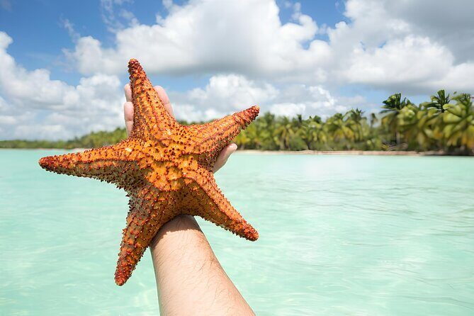 Saona and Mano Juan Private Tour by speedboat from Punta Cana - Who Should Consider This Tour?