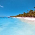 Saona Bayahibe Island Day Trip - Who Will Love This Tour?