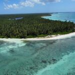 Saona by Speedboat: Private Beach & Snorkeling  Small Group - Final Thoughts: Who Will Love This Tour?