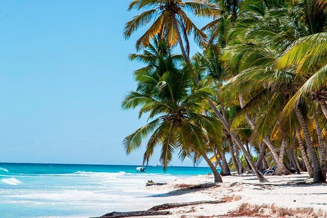 Saona Catamaran Cruise with Lunch and Natural Swimming Pool - What to Expect at Each Stop