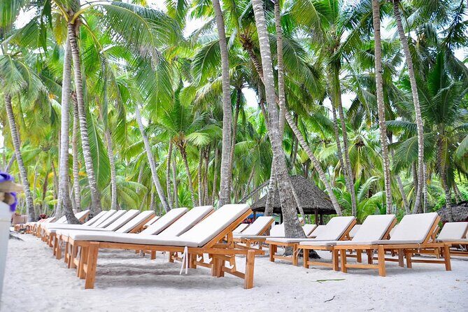 Saona full day with Food and drinks - Natural Pools and Beach Time