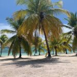 Saona Island 3 Beaches - Detailed Review of the Saona Island 3 Beaches Tour
