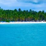 Saona Island Adventure - Why This Tour Offers Good Value
