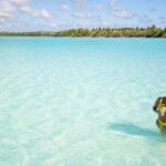 Saona Island Adventure from Punta Cana - The Sum Up