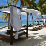 Saona Island Adventure From Santo Domingo - Who Will Love This Tour?