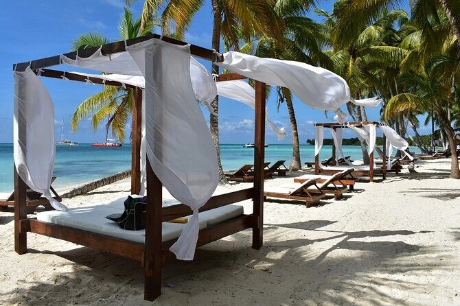 Saona Island Adventure From Santo Domingo - Who Will Love This Tour?